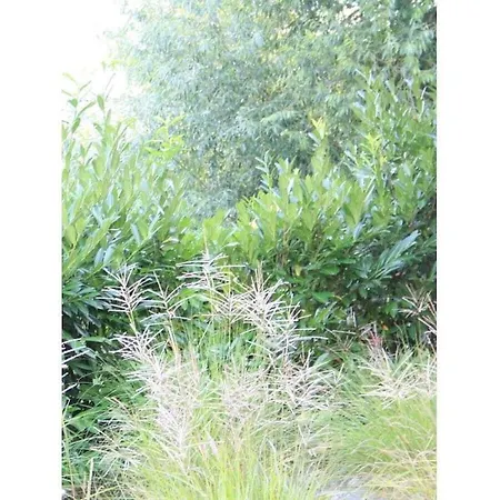 Coastal House Wremen *